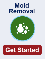 mold remediation in Cape Coral FL